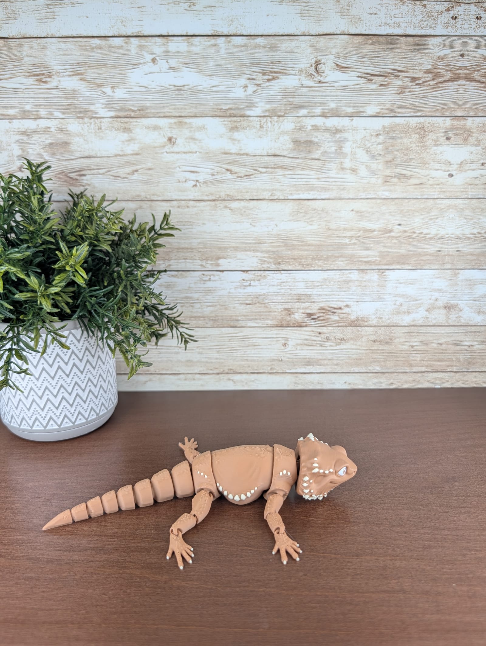 Bearded Dragon thumbnail 2