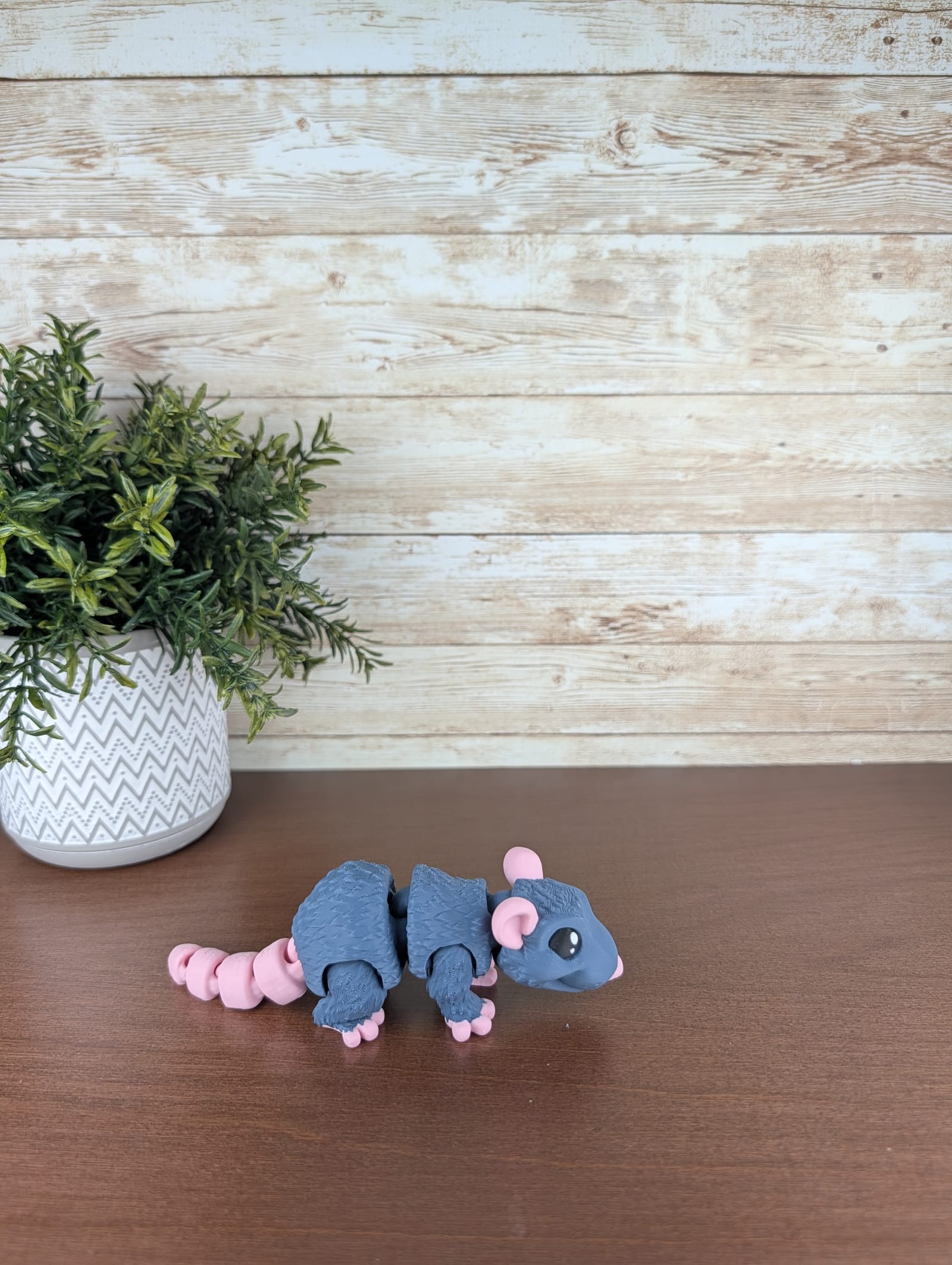 Grey Rat thumbnail 3