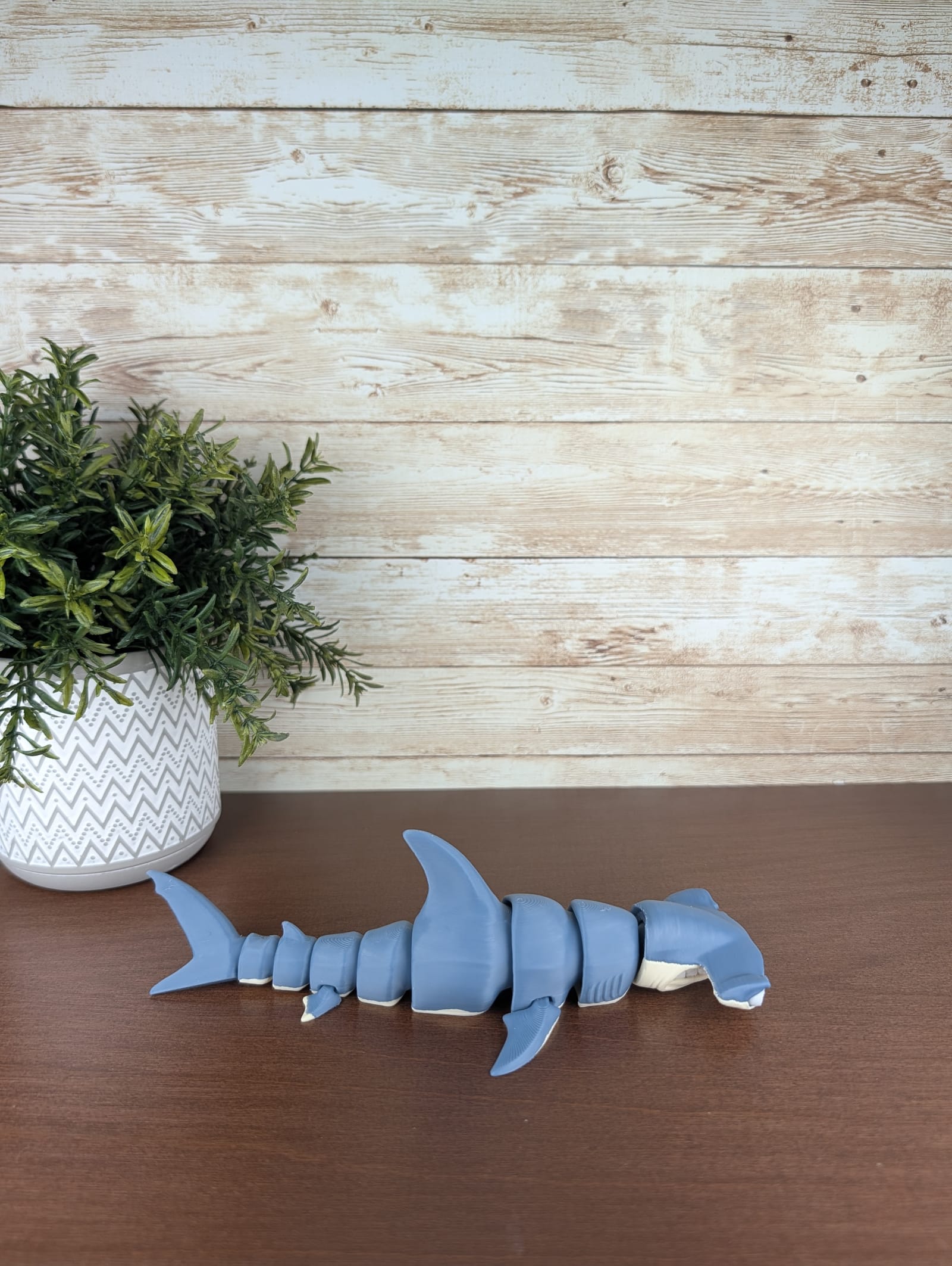 Hammerhead Shark thumbnail 2