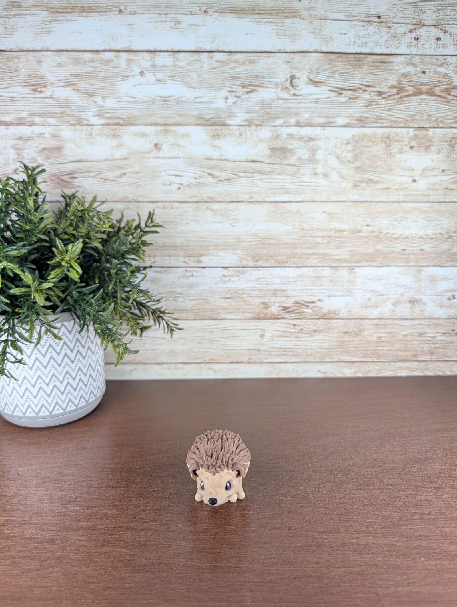 Hedgehog thumbnail 2