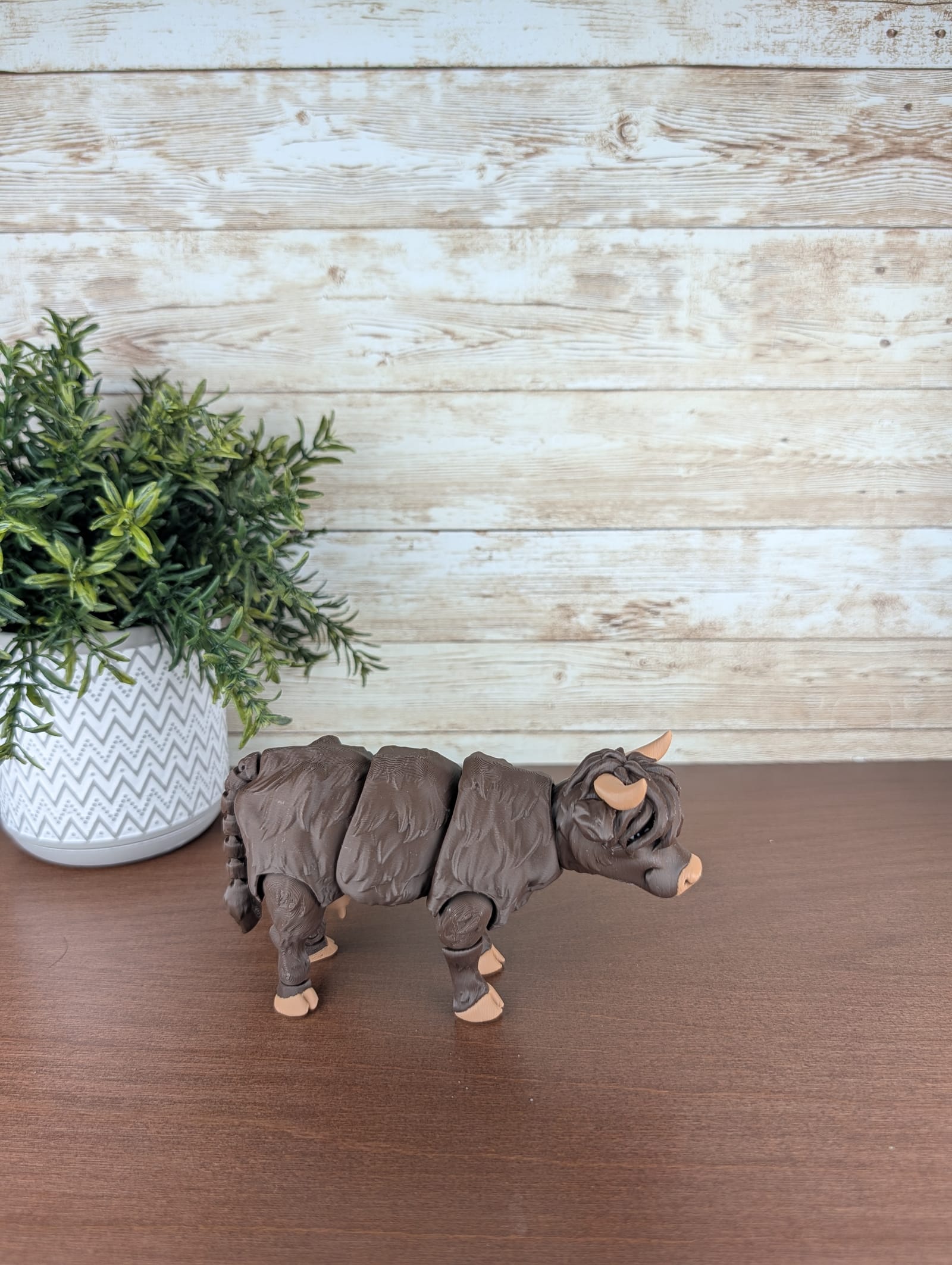 Highland Cow thumbnail 2