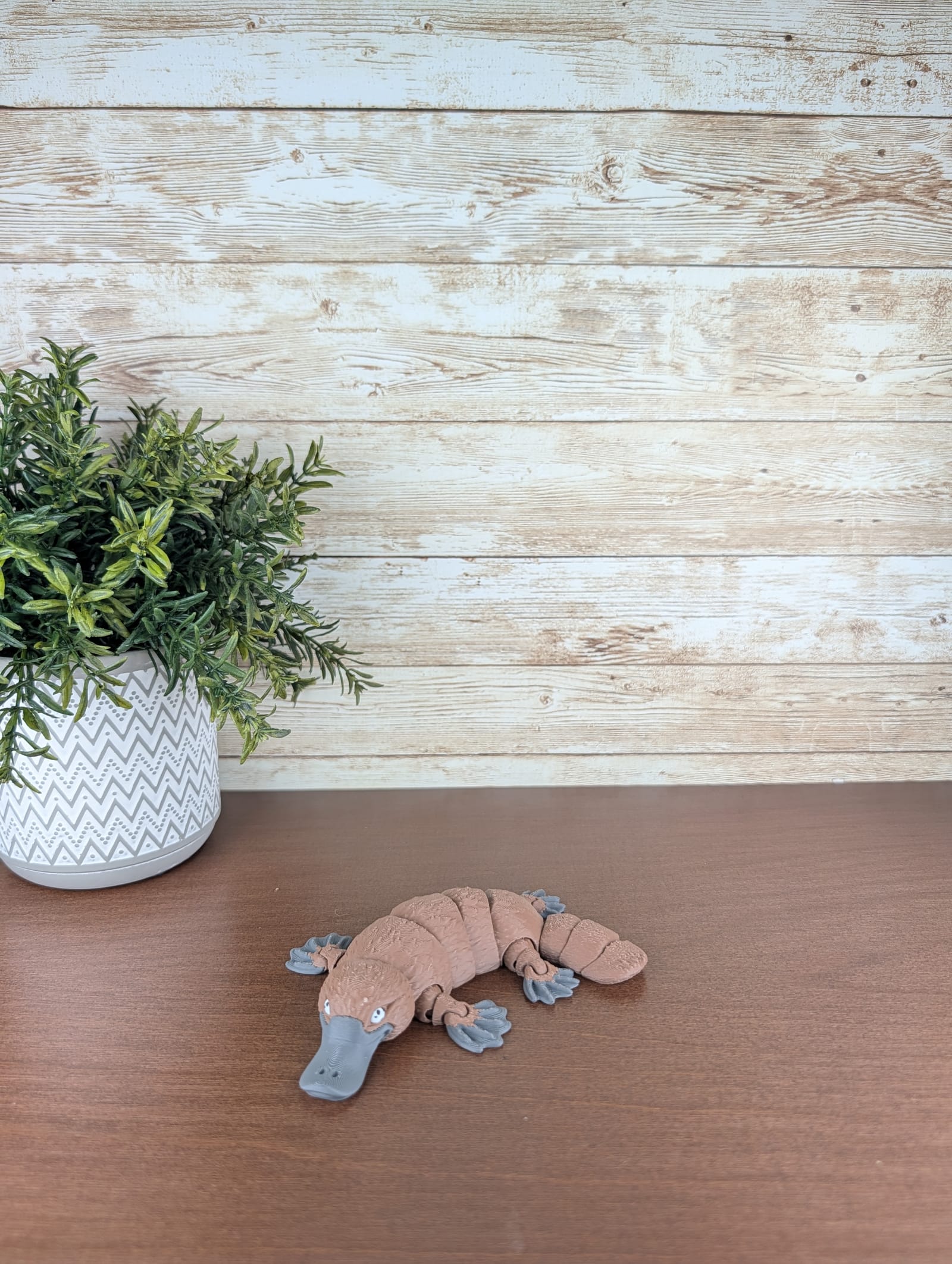 Platypus thumbnail 2