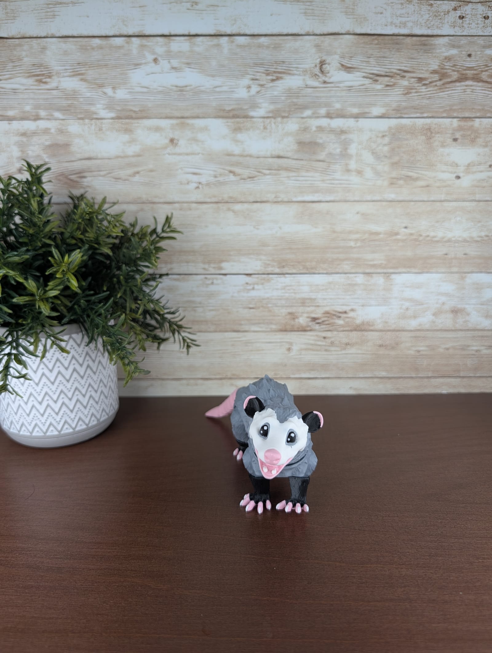 Possum thumbnail 2