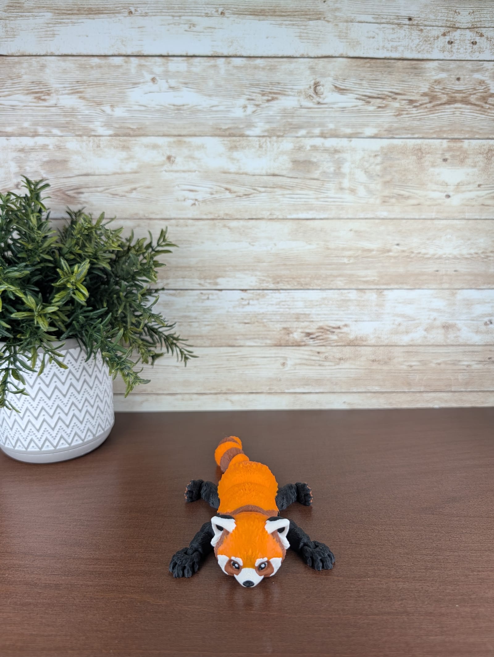 Red Panda thumbnail 2