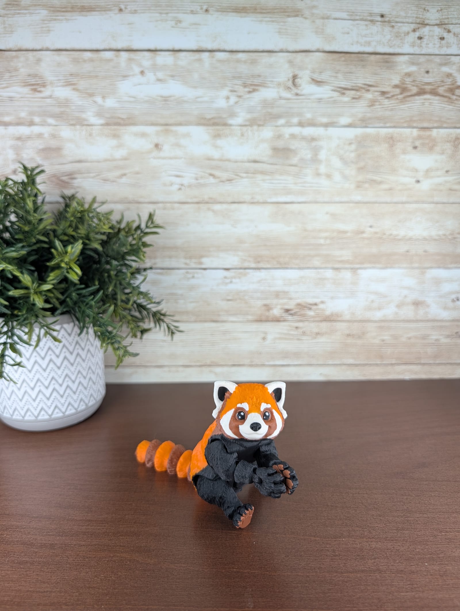 Red Panda