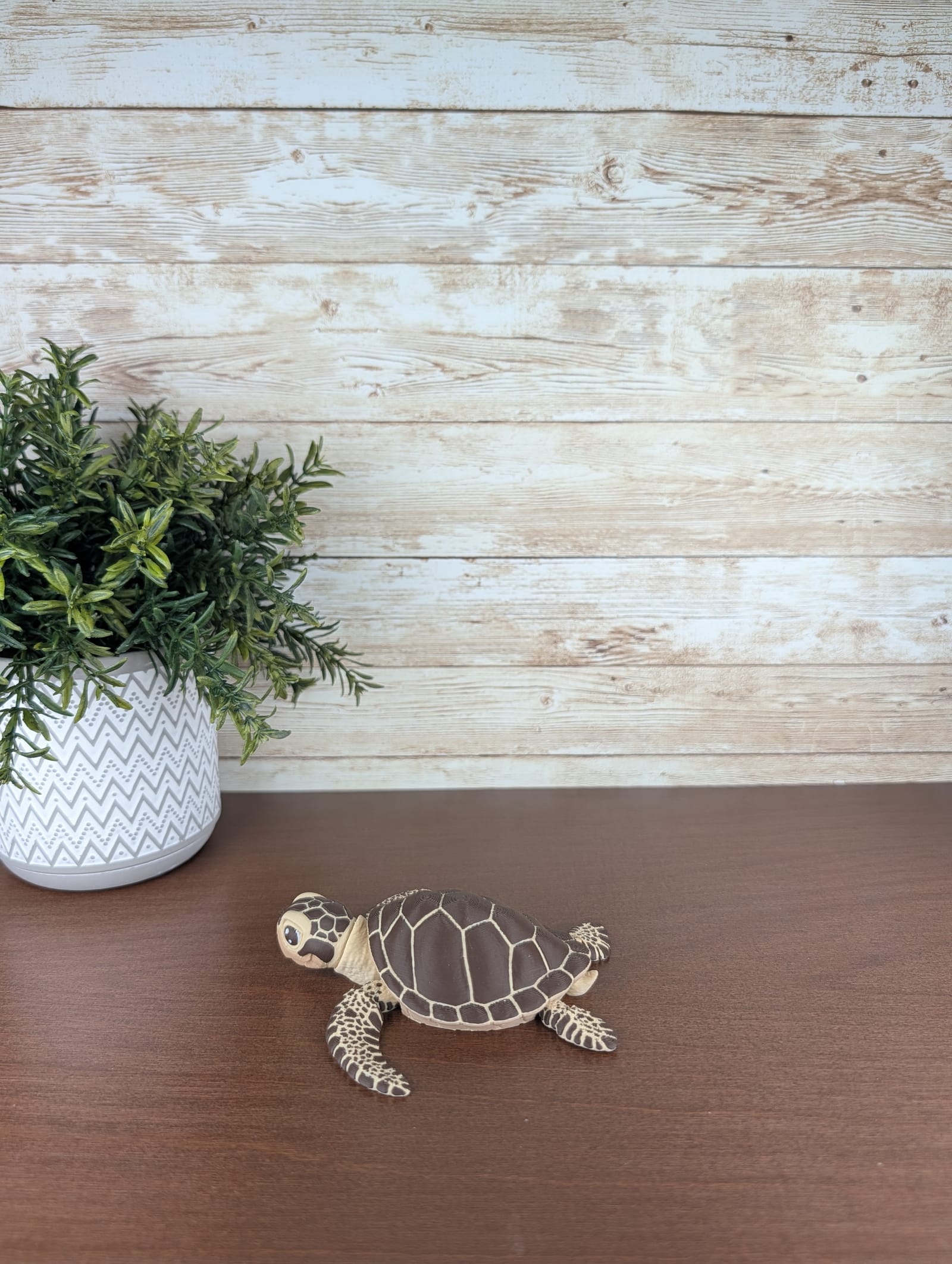 Sea Turtle thumbnail 2