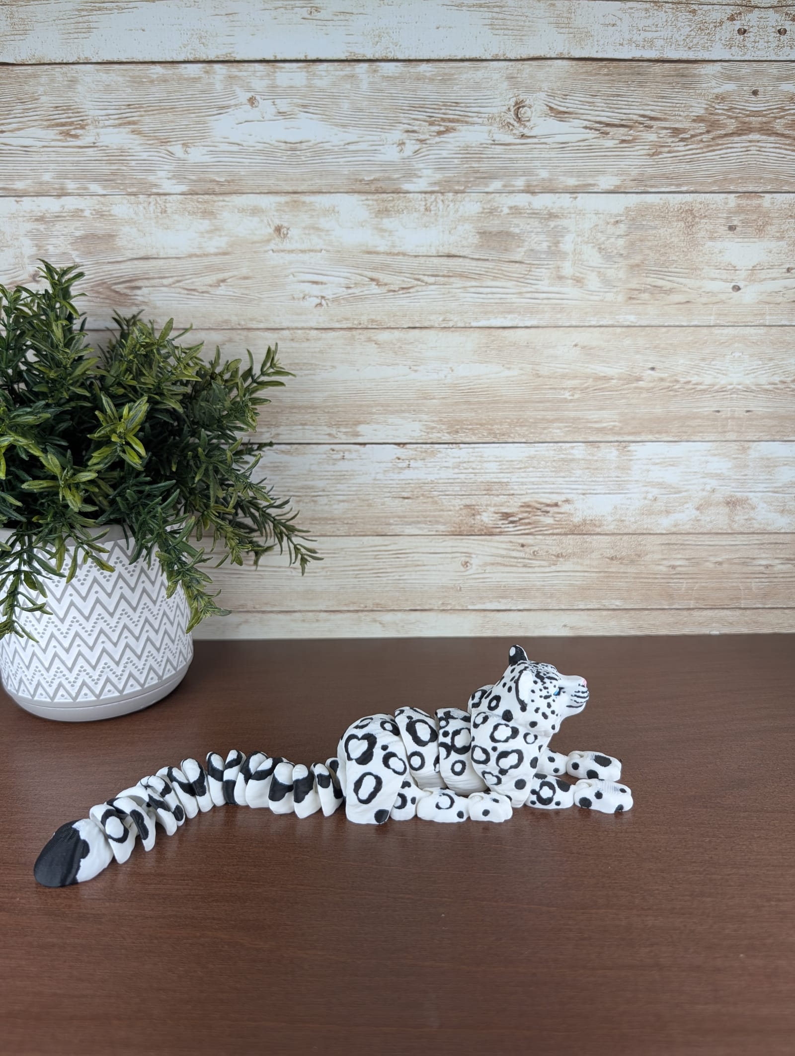 Snow Leopard thumbnail 2