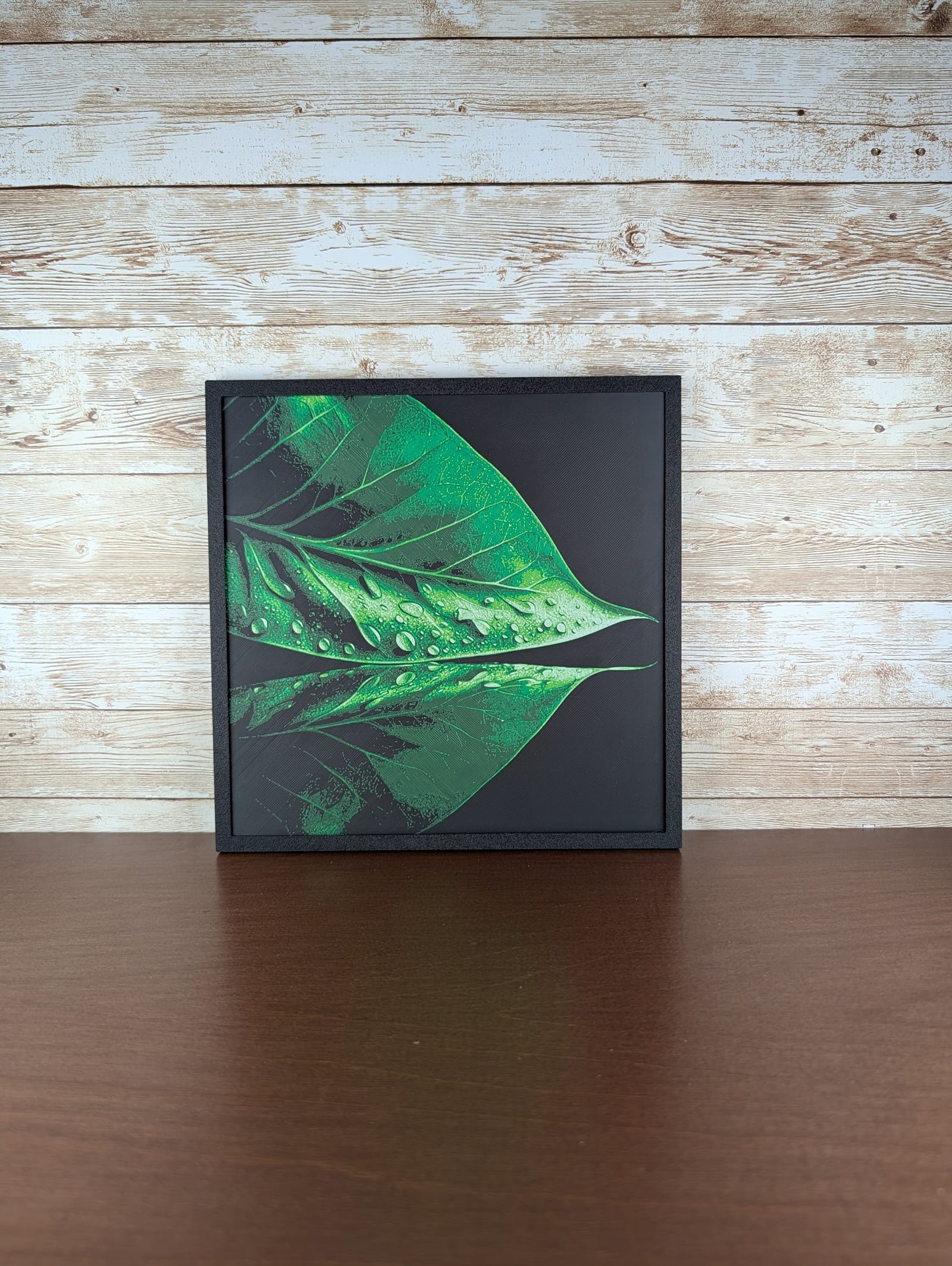 Dewy Green Leaf Reflection