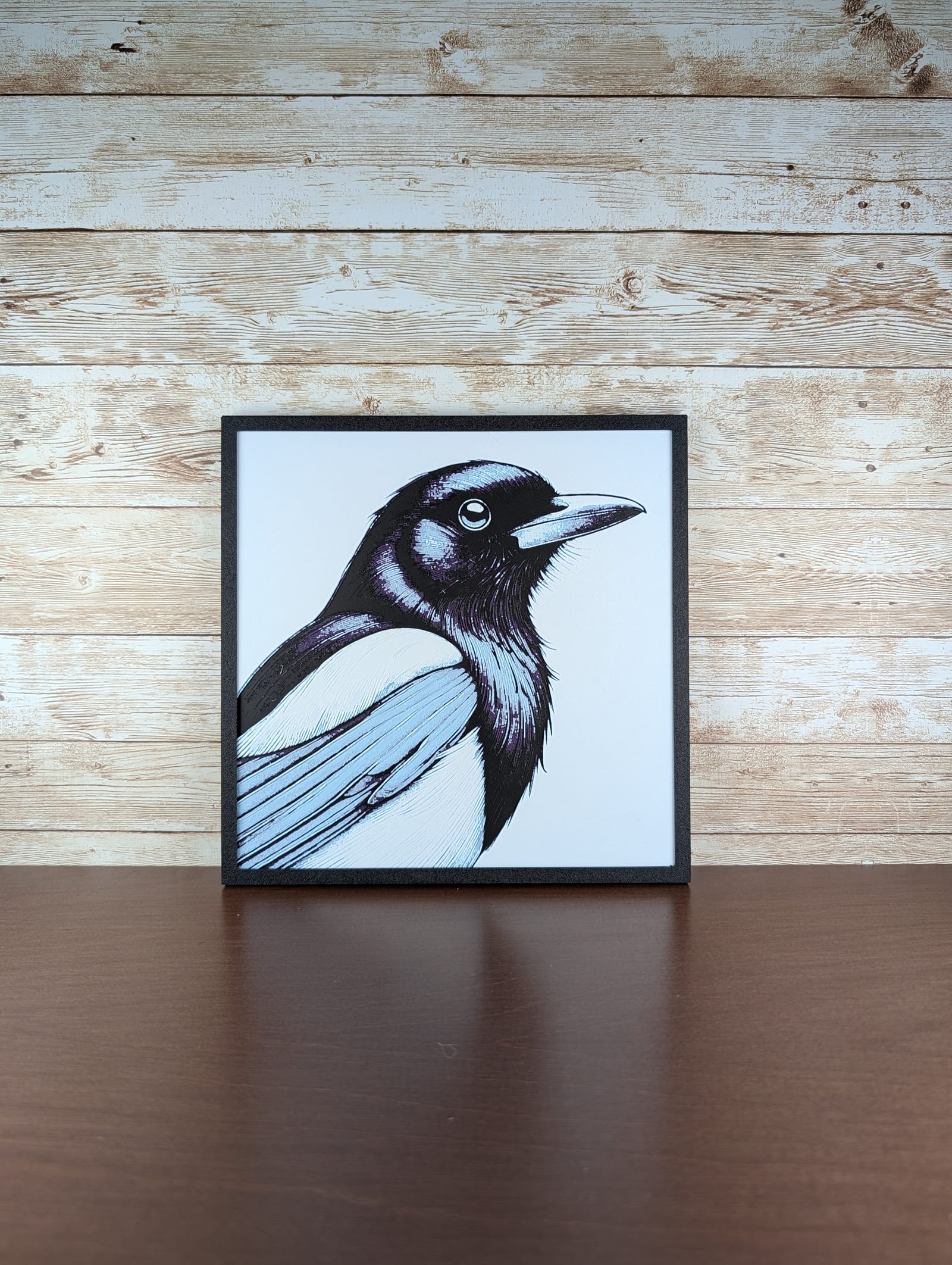 Elegant Magpie