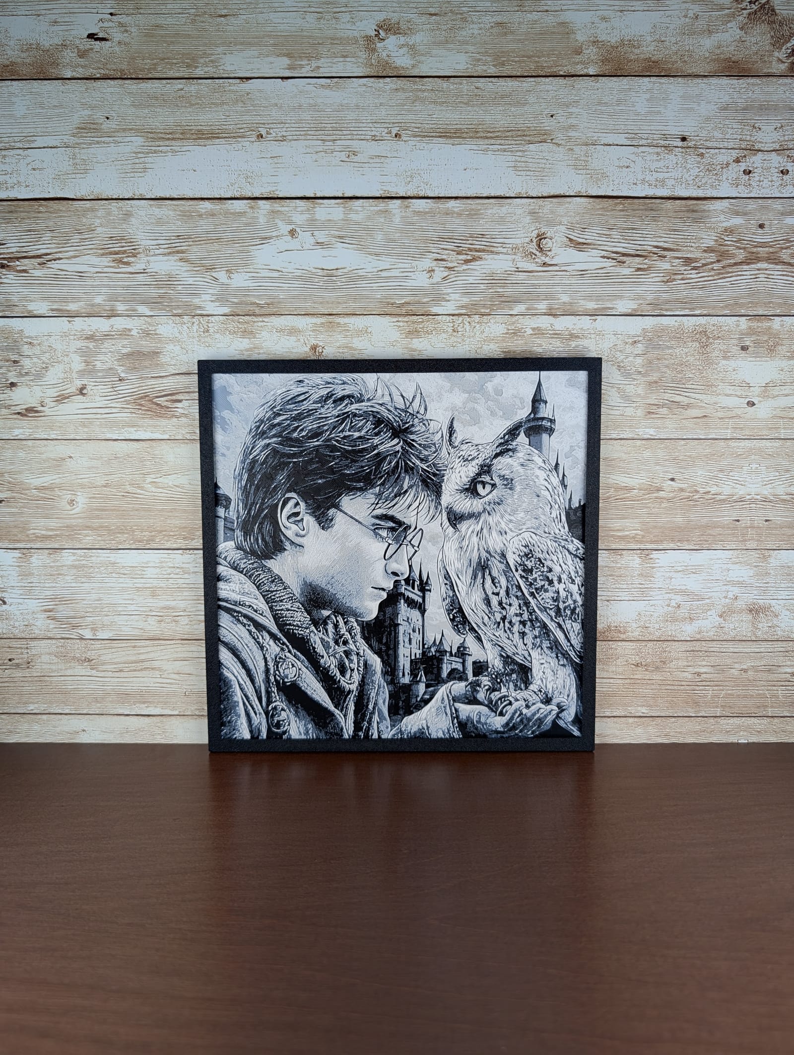 Harry Potter and Hedwig Portrait
